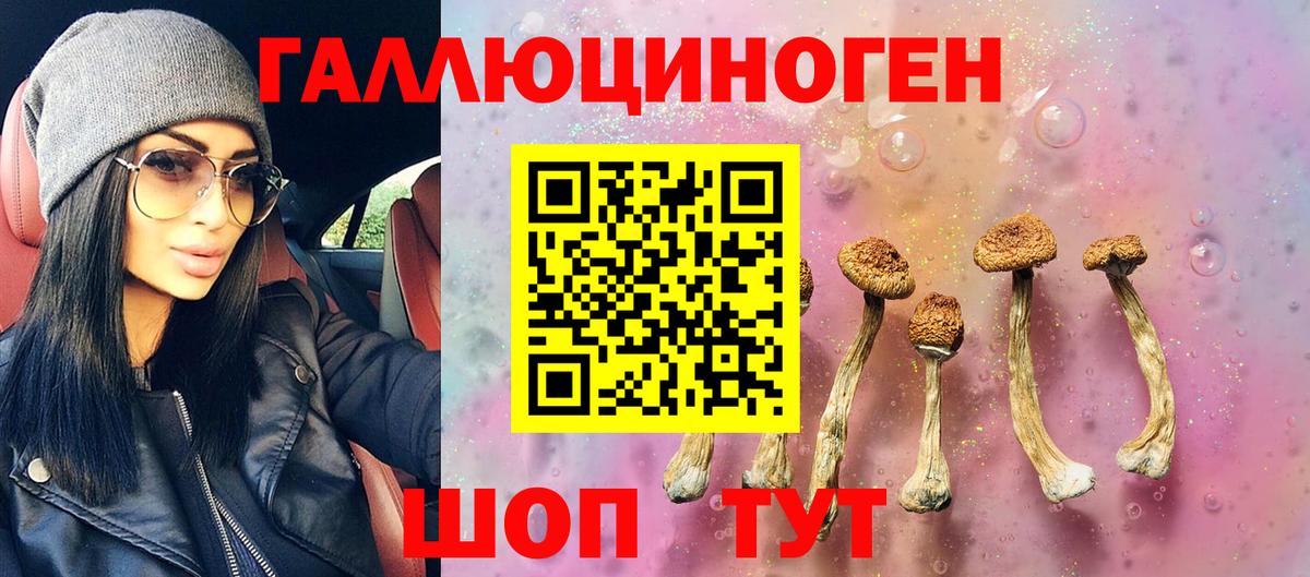 Псилоцибиновые грибы MAGIC MUSHROOMS  даркнет сайт  Псилоцибиновые грибы мухоморы  Волжский  Вход с VPN 